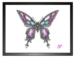 butterfly_pink