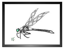 dragonfly_emerald