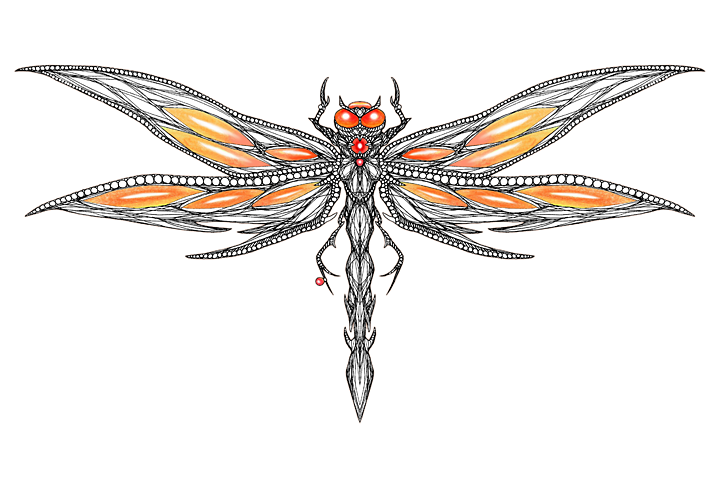 hiroka_dragonfly